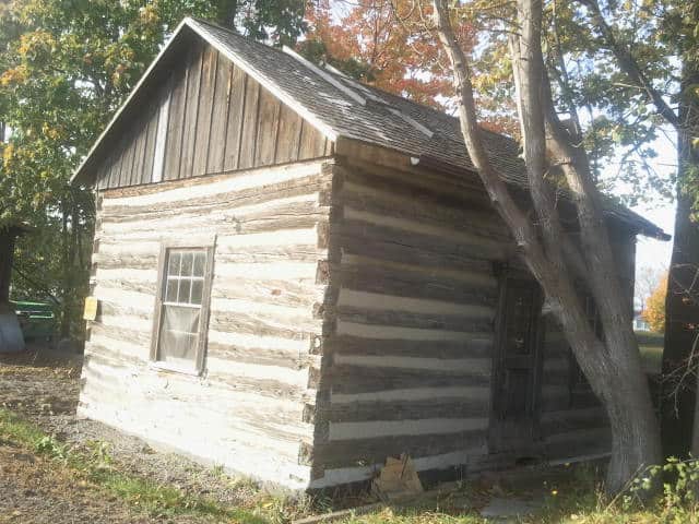 brown wooden cabin, one window and door, surrounded by brown trees with green and red leaves